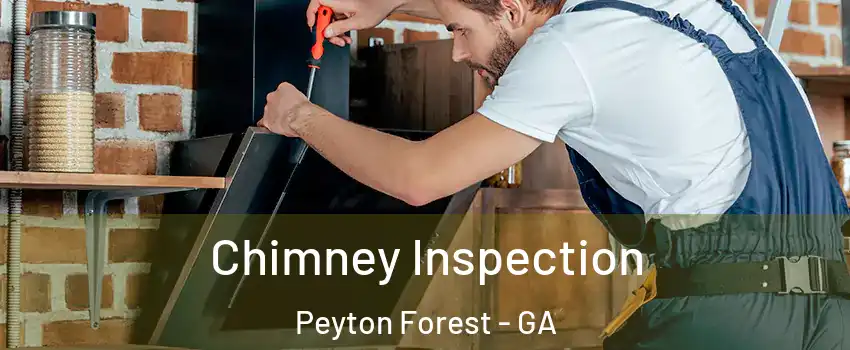 Chimney Inspection Peyton Forest - GA