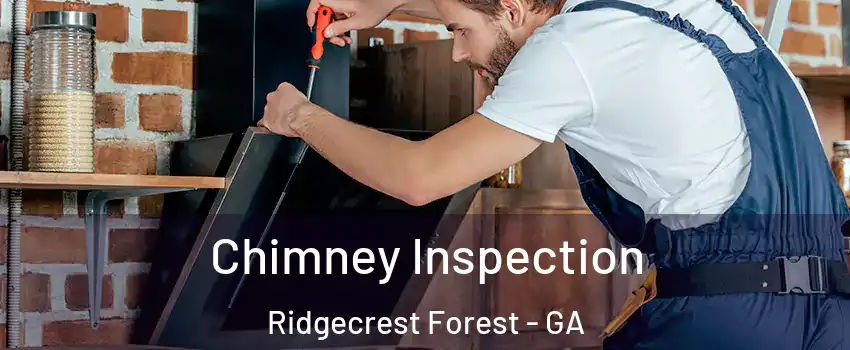 Chimney Inspection Ridgecrest Forest - GA
