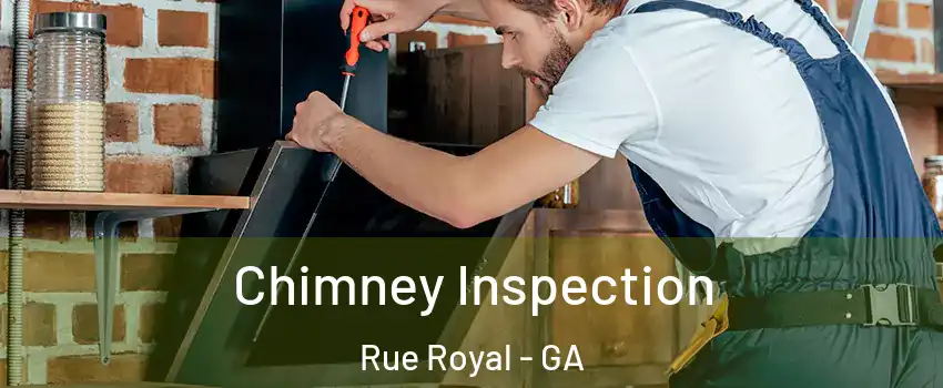 Chimney Inspection Rue Royal - GA