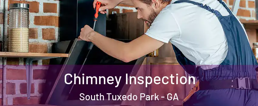 Chimney Inspection South Tuxedo Park - GA