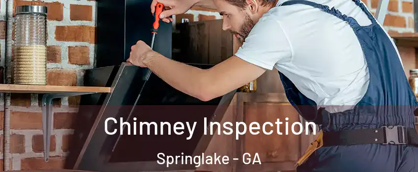 Chimney Inspection Springlake - GA
