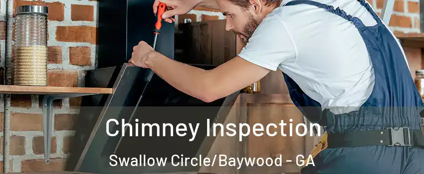 Chimney Inspection Swallow Circle/Baywood - GA