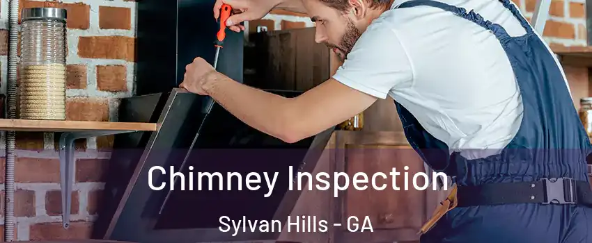 Chimney Inspection Sylvan Hills - GA