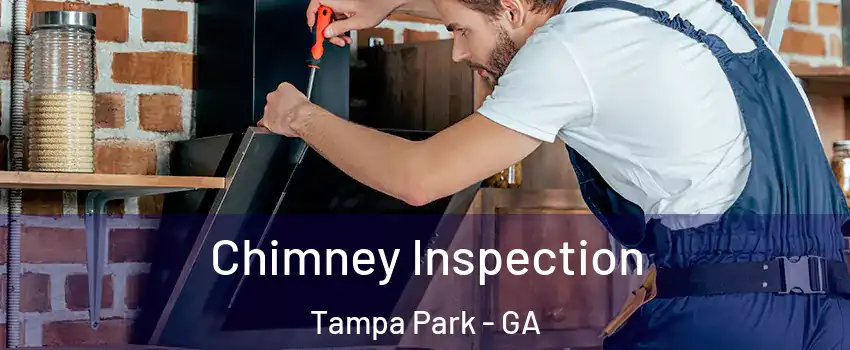 Chimney Inspection Tampa Park - GA