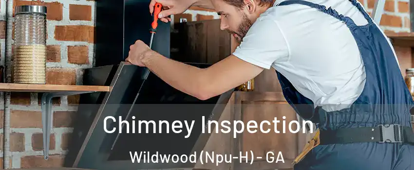 Chimney Inspection Wildwood (Npu-H) - GA