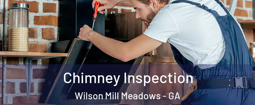 Chimney Inspection Wilson Mill Meadows - GA