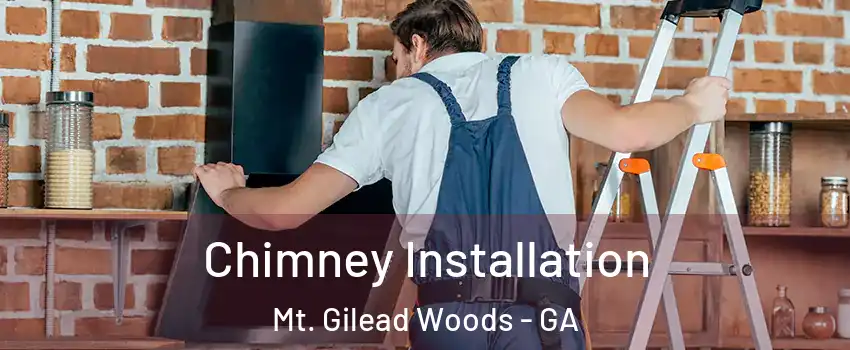 Chimney Installation Mt. Gilead Woods - GA