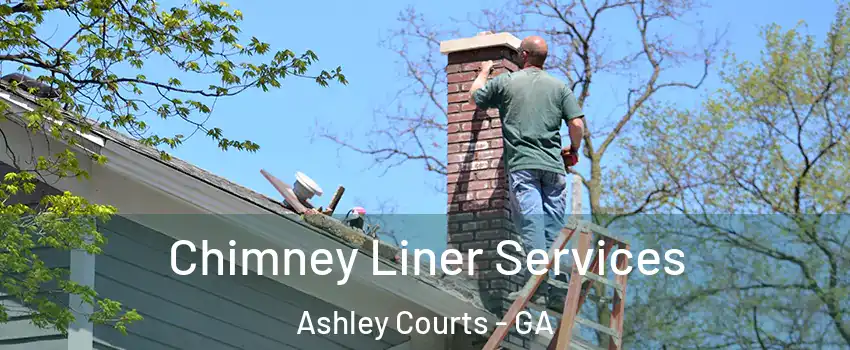 Chimney Liner Services Ashley Courts - GA