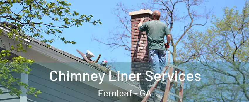 Chimney Liner Services Fernleaf - GA