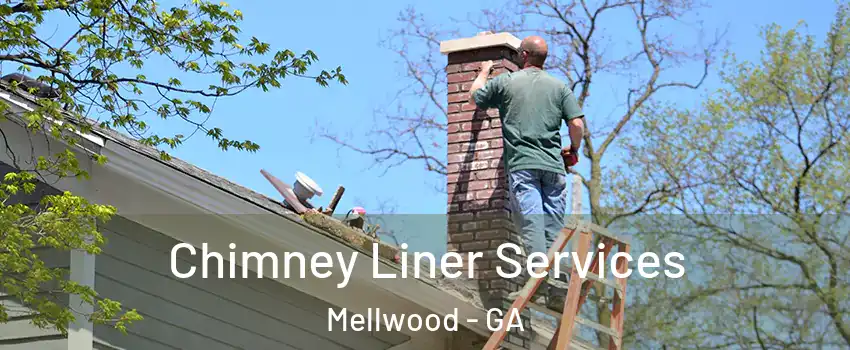 Chimney Liner Services Mellwood - GA