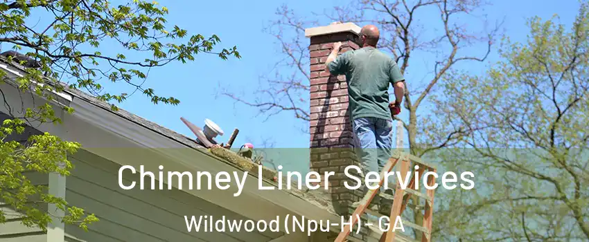 Chimney Liner Services Wildwood (Npu-H) - GA