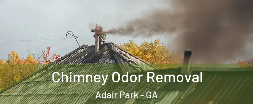 Chimney Odor Removal Adair Park - GA