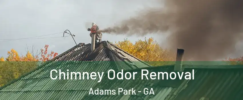 Chimney Odor Removal Adams Park - GA
