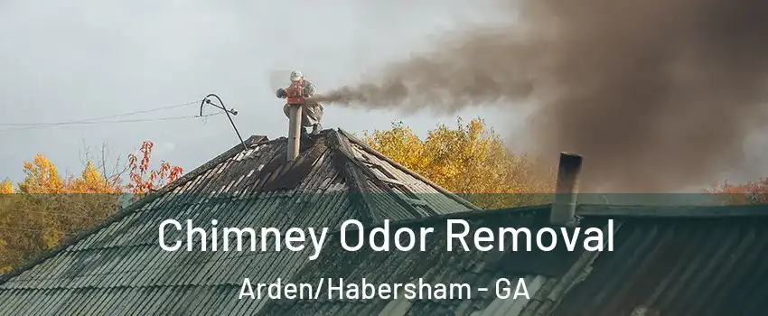 Chimney Odor Removal Arden/Habersham - GA