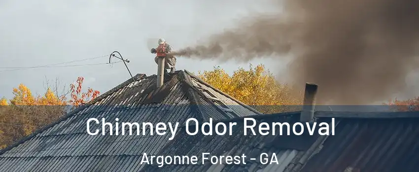 Chimney Odor Removal Argonne Forest - GA