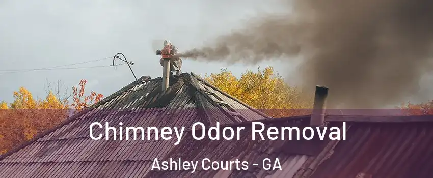 Chimney Odor Removal Ashley Courts - GA