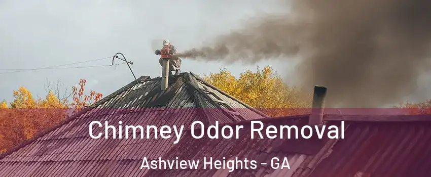 Chimney Odor Removal Ashview Heights - GA