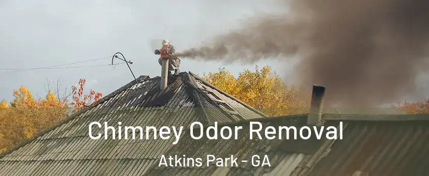 Chimney Odor Removal Atkins Park - GA