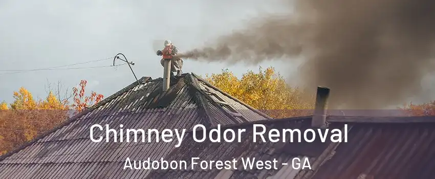 Chimney Odor Removal Audobon Forest West - GA