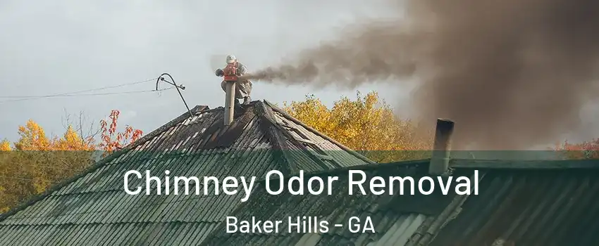 Chimney Odor Removal Baker Hills - GA
