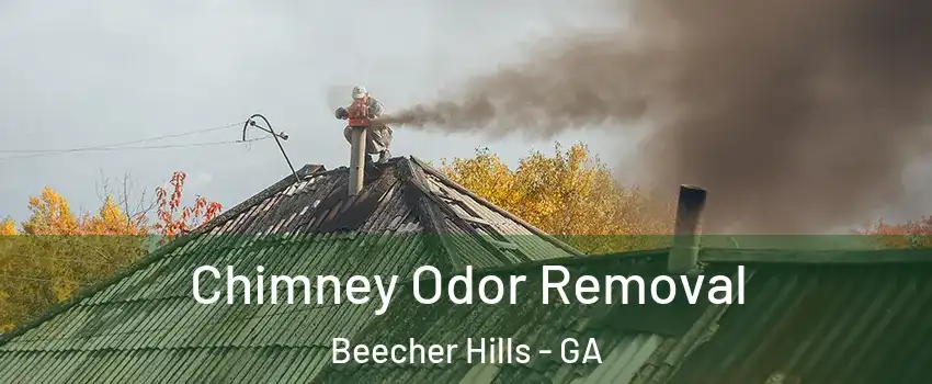 Chimney Odor Removal Beecher Hills - GA