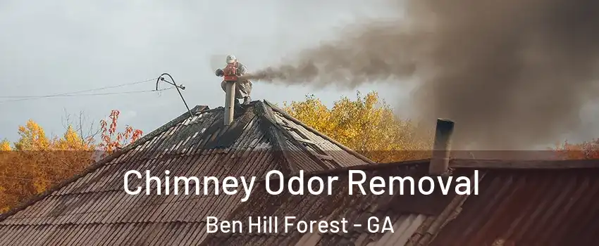 Chimney Odor Removal Ben Hill Forest - GA