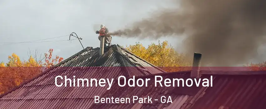 Chimney Odor Removal Benteen Park - GA