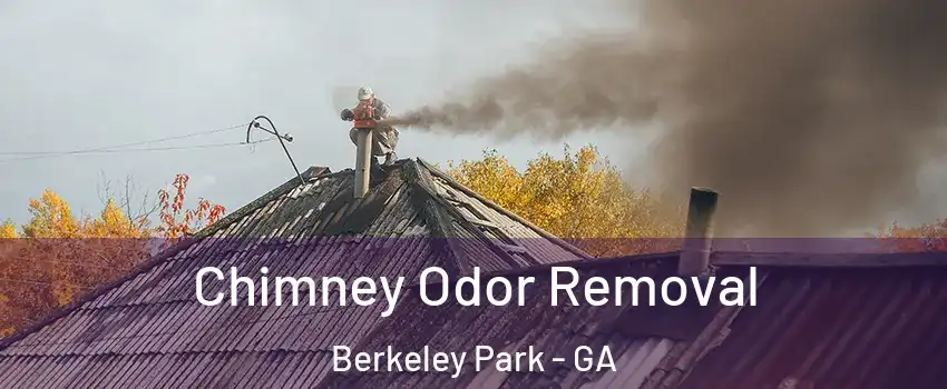 Chimney Odor Removal Berkeley Park - GA