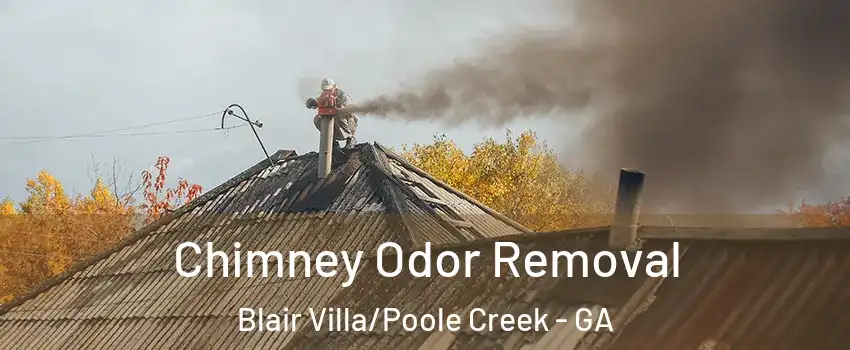 Chimney Odor Removal Blair Villa/Poole Creek - GA