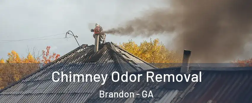 Chimney Odor Removal Brandon - GA