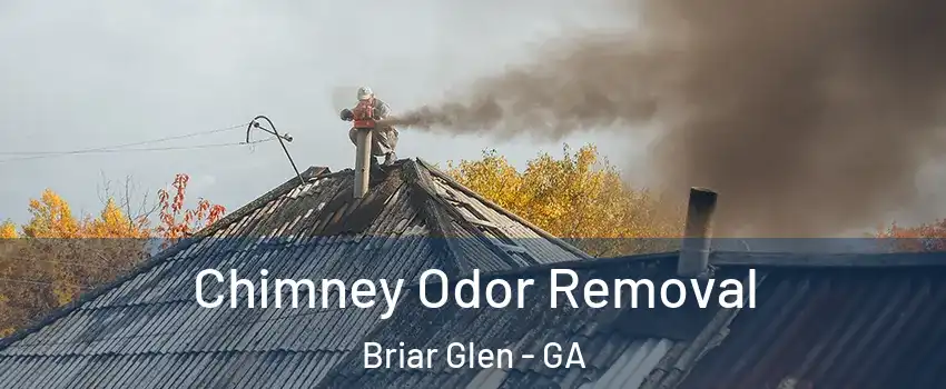 Chimney Odor Removal Briar Glen - GA