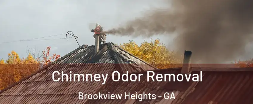 Chimney Odor Removal Brookview Heights - GA