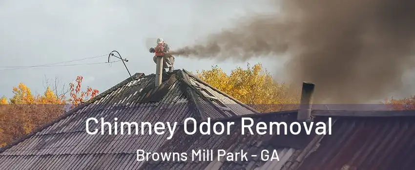 Chimney Odor Removal Browns Mill Park - GA