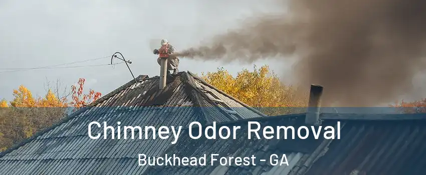 Chimney Odor Removal Buckhead Forest - GA