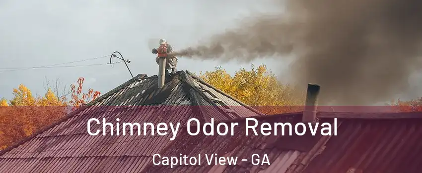Chimney Odor Removal Capitol View - GA
