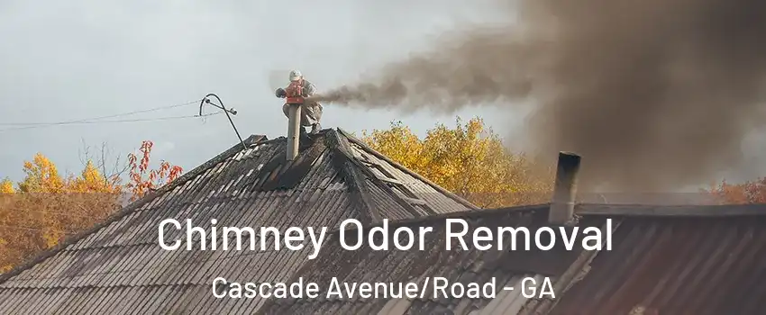 Chimney Odor Removal Cascade Avenue/Road - GA