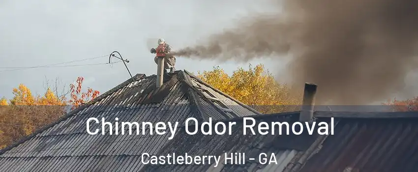 Chimney Odor Removal Castleberry Hill - GA