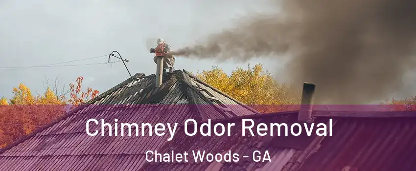 Chimney Odor Removal Chalet Woods - GA