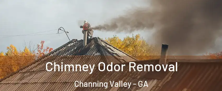 Chimney Odor Removal Channing Valley - GA
