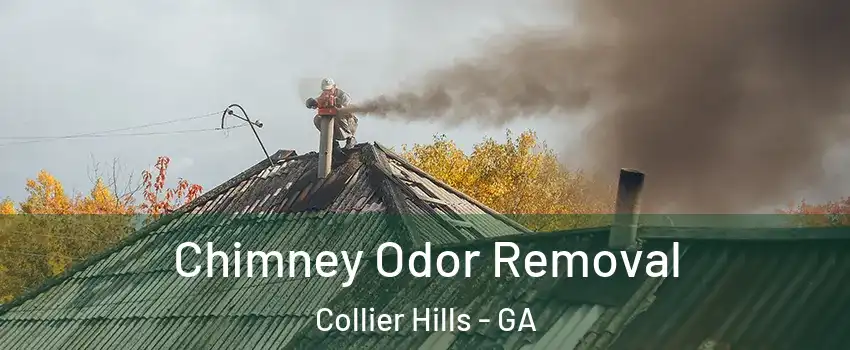 Chimney Odor Removal Collier Hills - GA