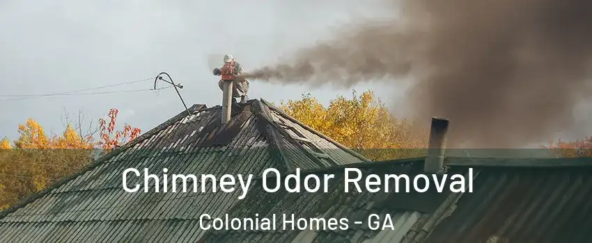 Chimney Odor Removal Colonial Homes - GA