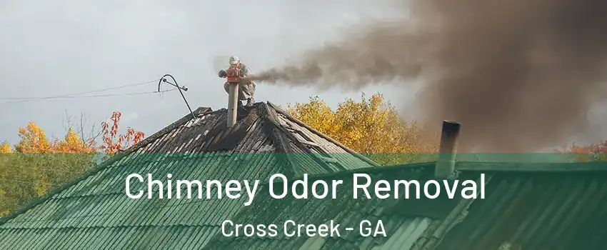 Chimney Odor Removal Cross Creek - GA
