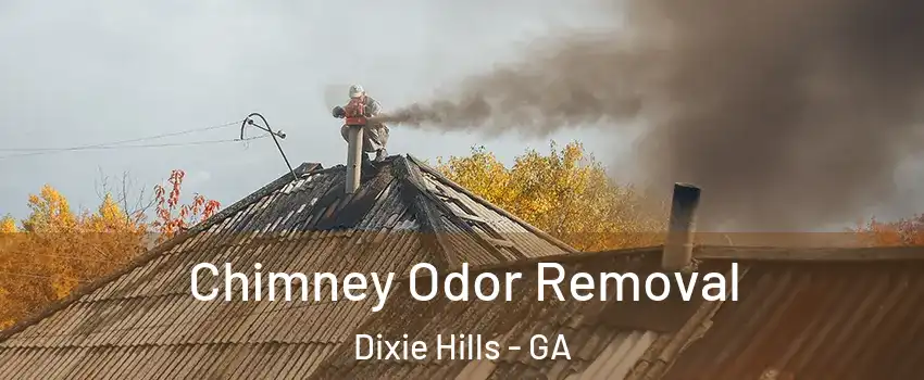Chimney Odor Removal Dixie Hills - GA