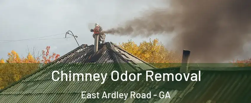 Chimney Odor Removal East Ardley Road - GA