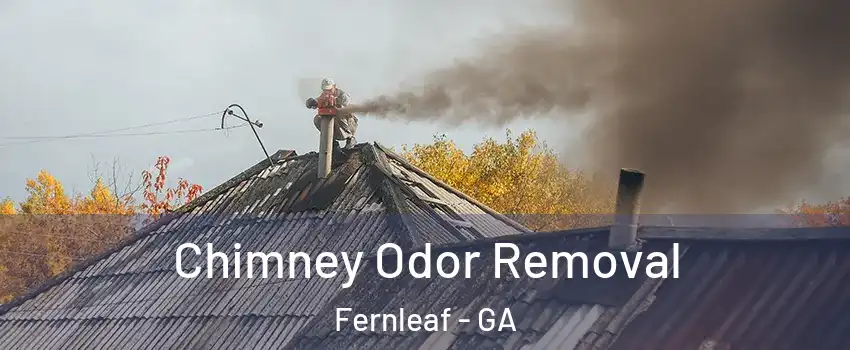 Chimney Odor Removal Fernleaf - GA