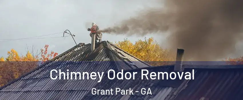 Chimney Odor Removal Grant Park - GA