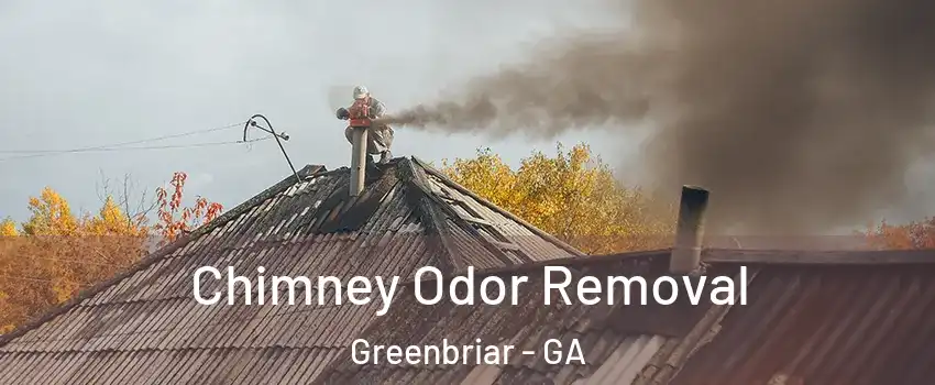 Chimney Odor Removal Greenbriar - GA