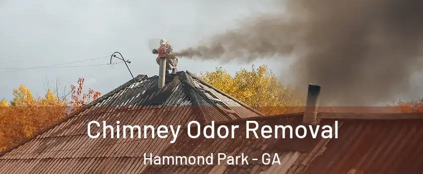 Chimney Odor Removal Hammond Park - GA