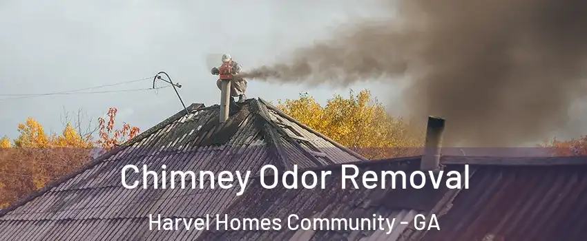 Chimney Odor Removal Harvel Homes Community - GA