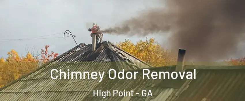 Chimney Odor Removal High Point - GA